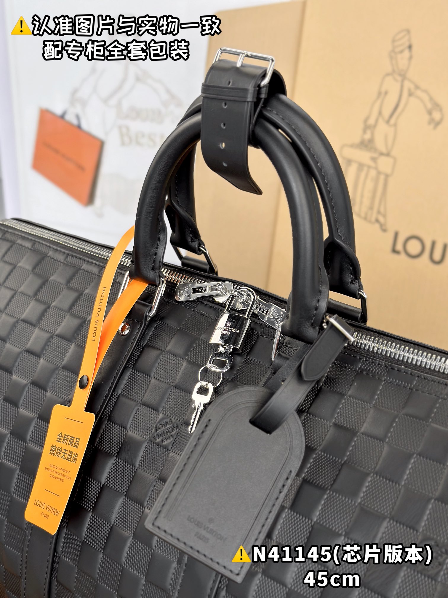 LV Travel Bags